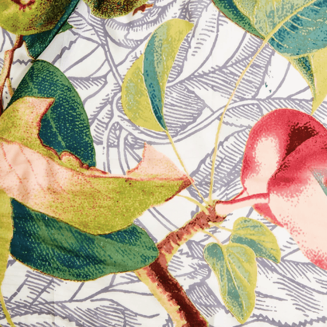 Colorful bird perched on a leafy branch against a patterned background.