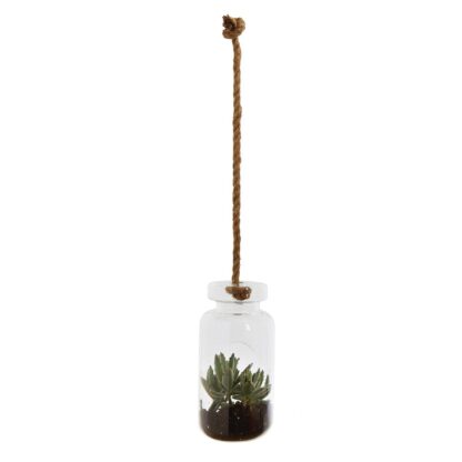 Hanging Terrarium
