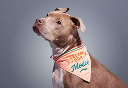Freelance Dog Model Bandana - Image 2