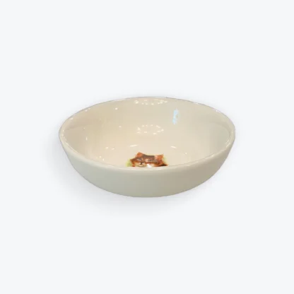 Pussy Bowl - Image 2